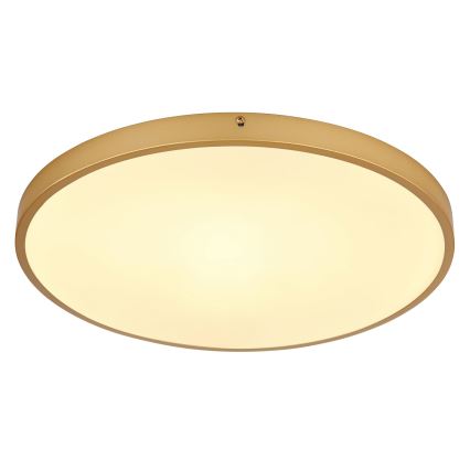 Globo - Plafón LED LED/30W/230V diá. 45 cm