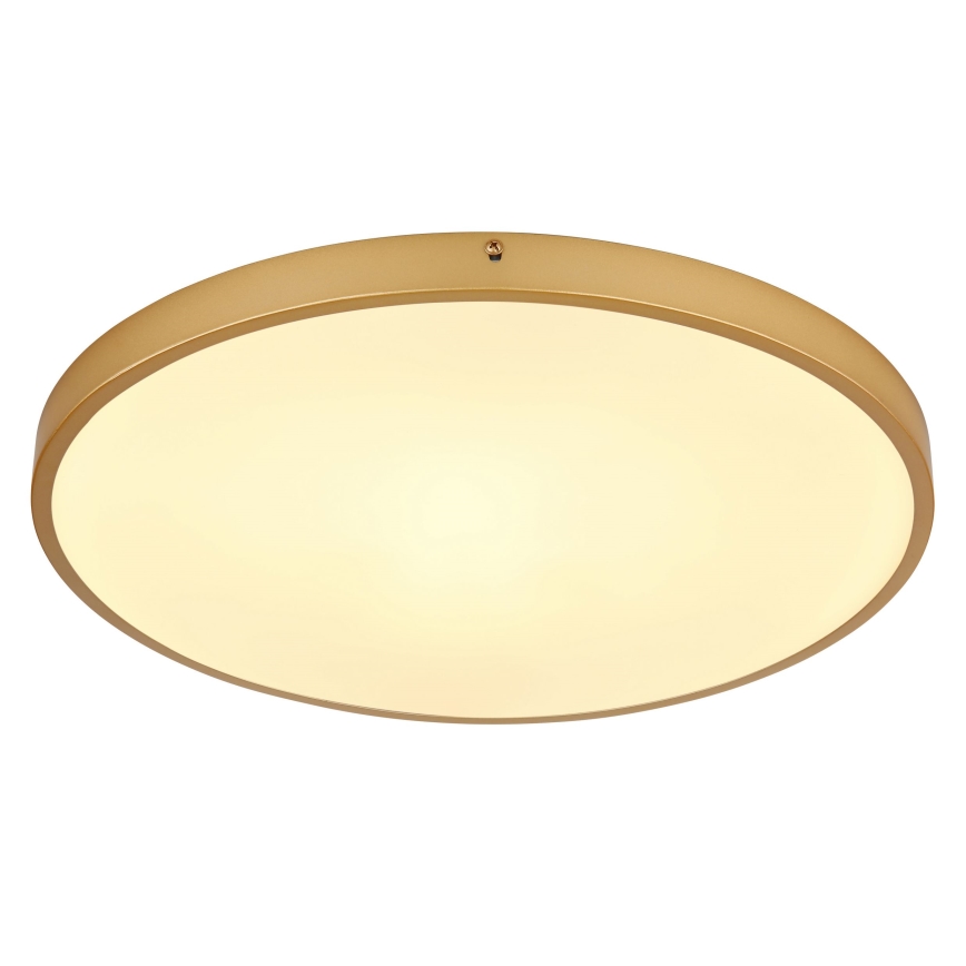 Globo - Plafón LED LED/30W/230V diá. 45 cm