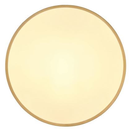 Globo - Plafón LED LED/30W/230V diá. 45 cm