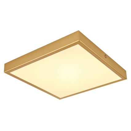 Globo - Plafón LED LED/15W/230V 25x25 cm