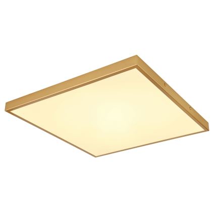 Globo - Plafón LED LED/30W/230V 45x45 cm