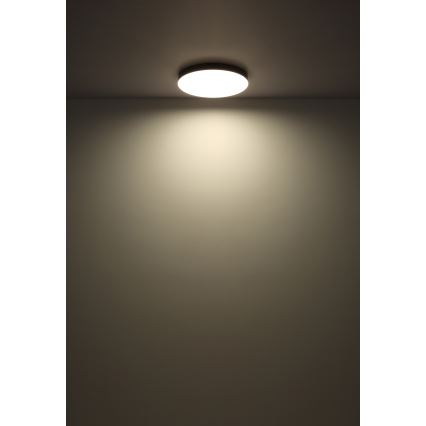 Globo - Plafón LED LED/24W/230V 3000K/4000K/6500K diá. 30 cm negro