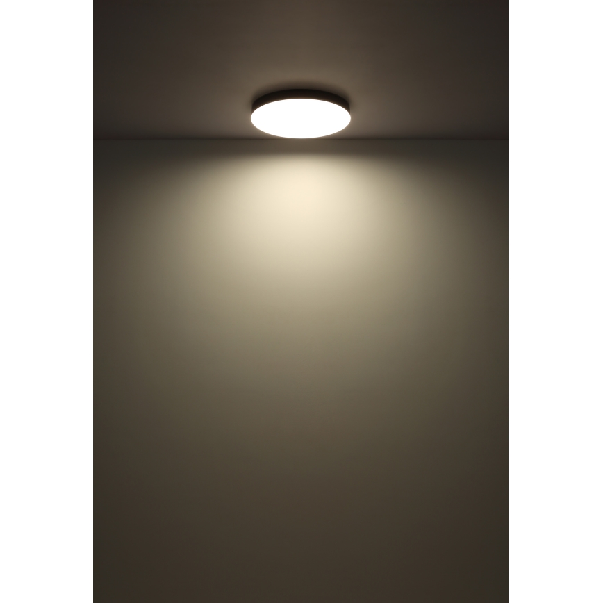 Globo - Plafón LED LED/24W/230V 3000K/4000K/6500K diá. 30 cm negro