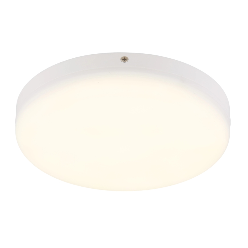 Globo - Plafón LED LED/12W/230V 4000K diá. 22 cm blanco
