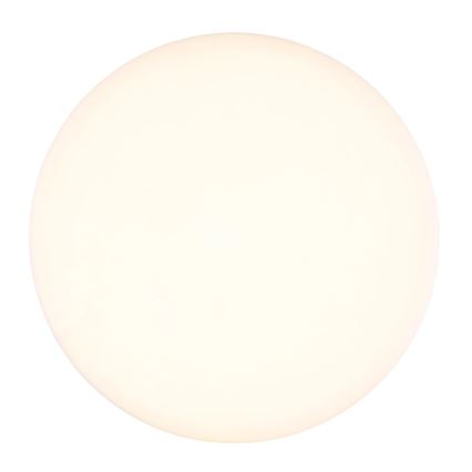 Globo - Plafón LED LED/12W/230V 4000K diá. 22 cm blanco