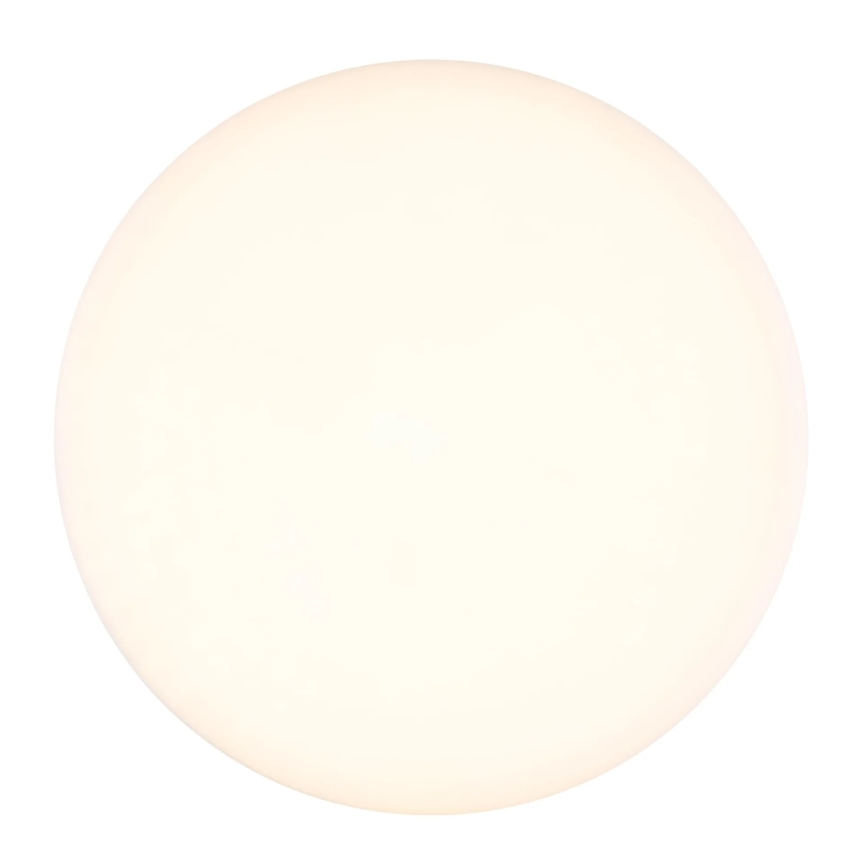 Globo - Plafón LED LED/12W/230V 4000K diá. 22 cm blanco