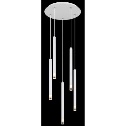 Globo - Lámpara colgante 5xG9/4W/230V diá. 34 cm