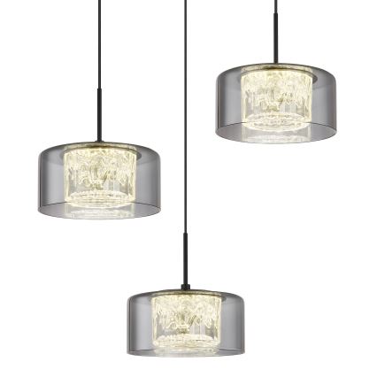 Globo - Lámpara LED colgante 3xLED/8W/230V