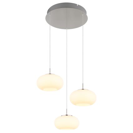 Globo - Lámpara LED colgante 3xLED/6W/230V