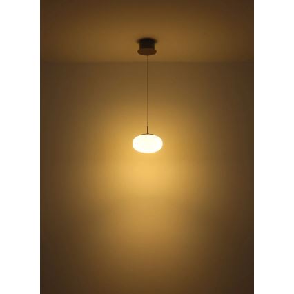 Globo - Lámpara LED colgante LED/6W/230V blanco