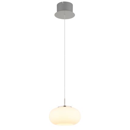 Globo - Lámpara LED colgante LED/6W/230V blanco
