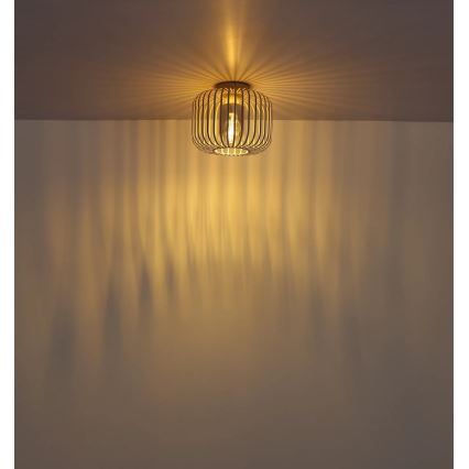 Globo - Lámpara de techo 1xE27/40W/230V Ø 28 cm