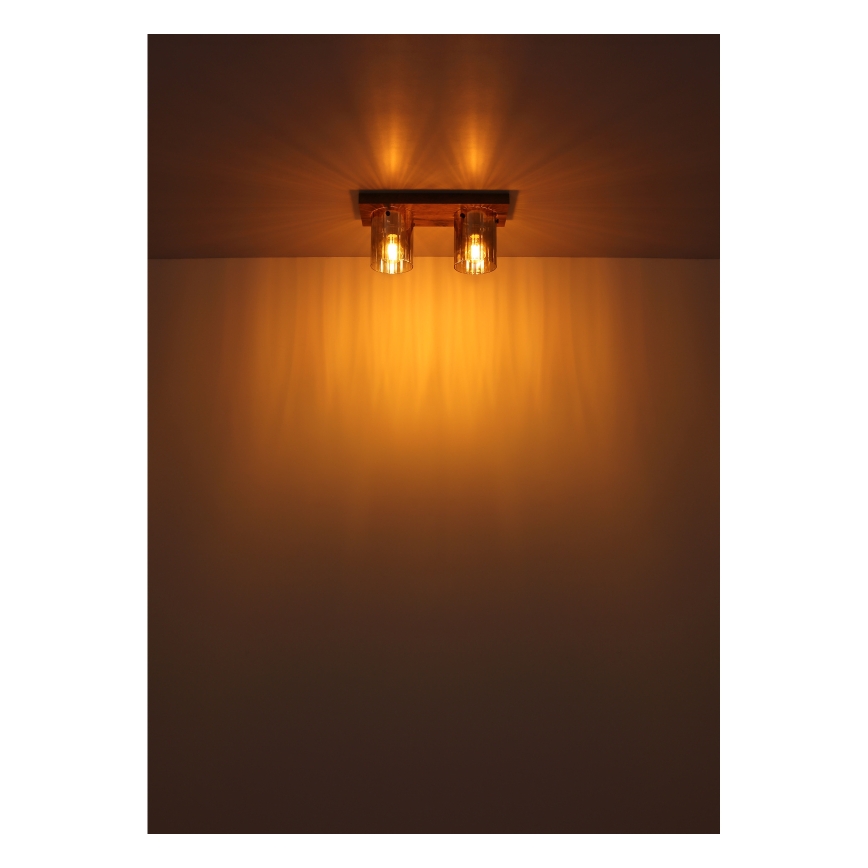 Globo - Lámpara de techo 2xE27/40W/230V