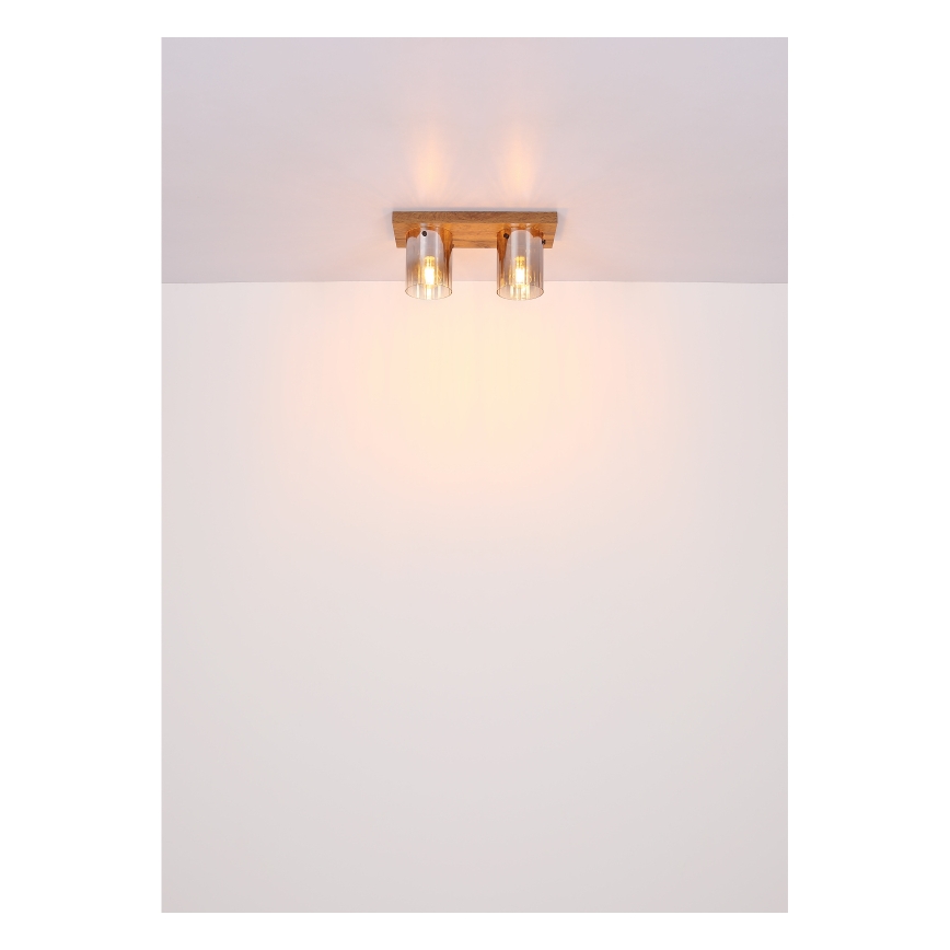 Globo - Lámpara de techo 2xE27/40W/230V