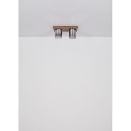 Globo - Lámpara de techo 2xE27/40W/230V