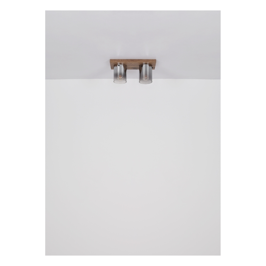 Globo - Lámpara de techo 2xE27/40W/230V