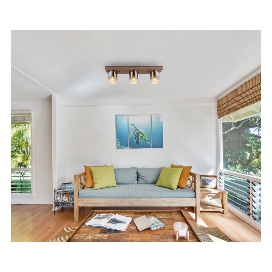 Globo - Lámpara de techo 3xE27/40W/230V