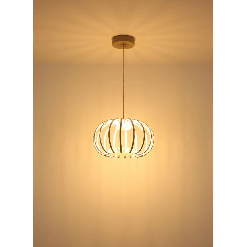 Globo - Lámpara colgante regulable con cable LED/40W/230V 3000K