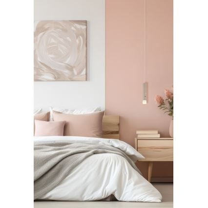 Globo - Lámpara recargable táctil LED regulable 2 en 1 LED/2W/230/5V