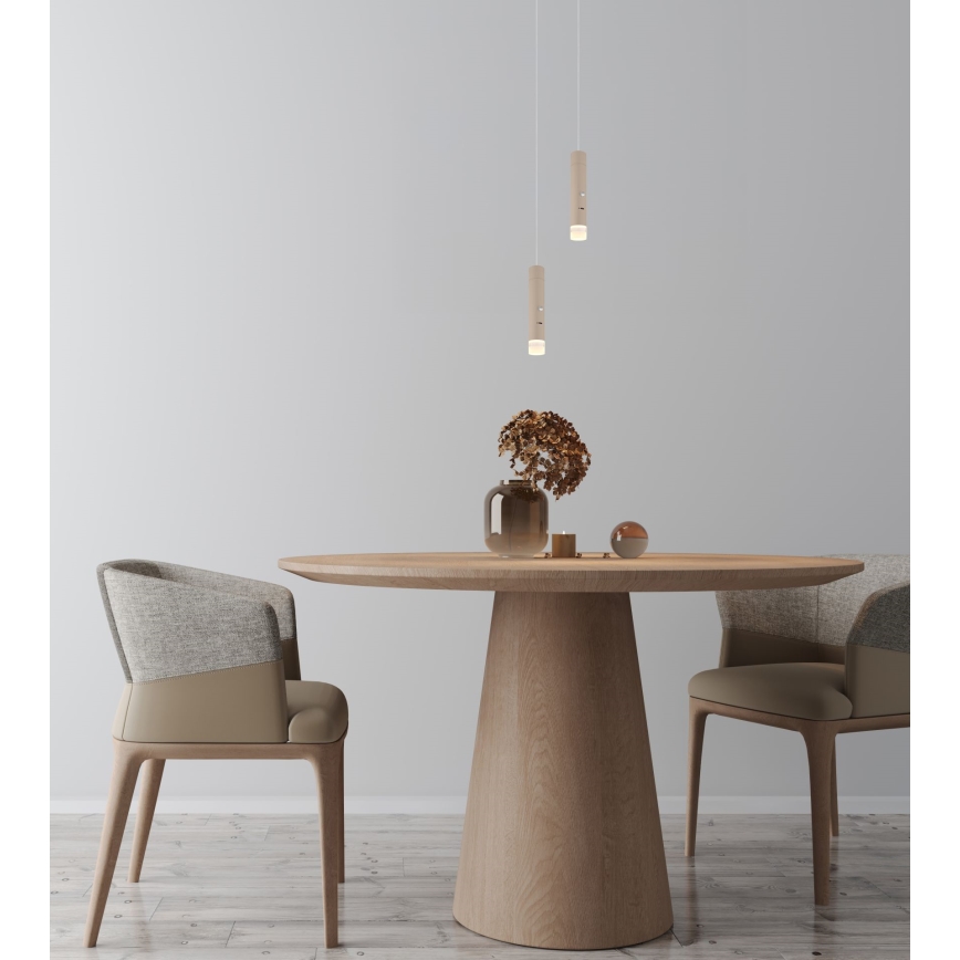 Globo - Lámpara recargable táctil LED regulable 2 en 1 LED/2W/230/5V