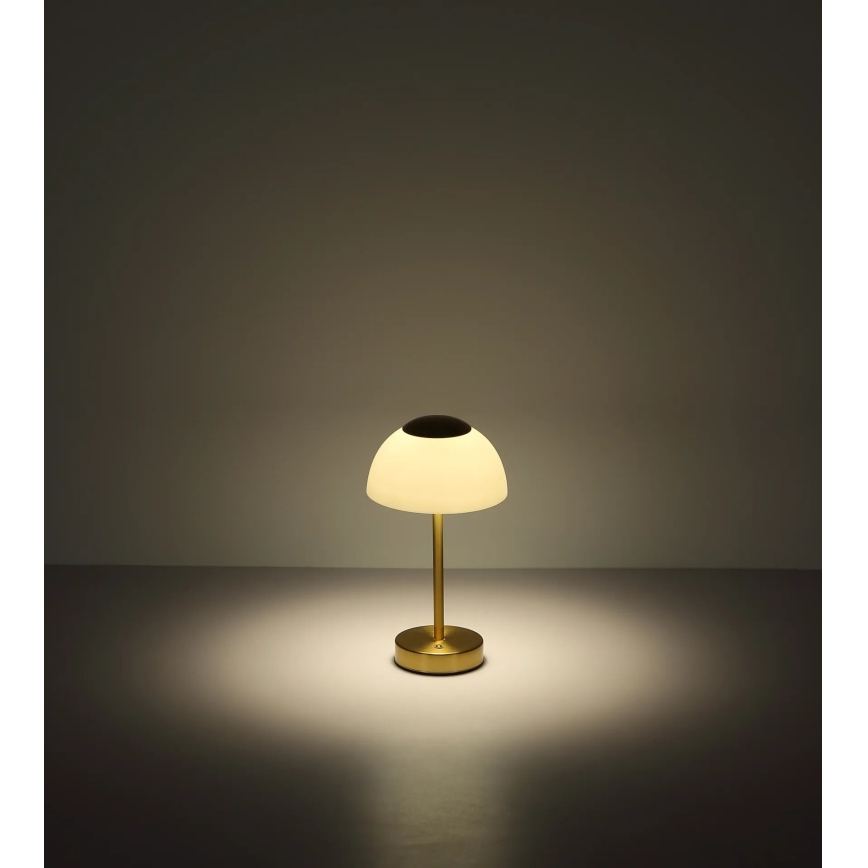 Globo - Lámpara de mesa LED recargable y regulable LED/2,5W/5V 1800mAh