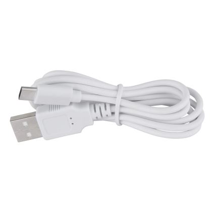 Globo 21025C - Lámpara de mesa LED recargable y regulable AMBRA LED/2,5W/3,7V 2700K/4500K/6500K blanco