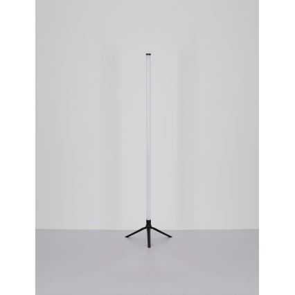 Globo - Lámpara de pie LED RGB regulable LED/7W/5V + mando a distancia