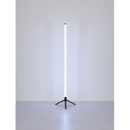 Globo - Lámpara de pie LED RGB regulable LED/7W/5V + control remoto