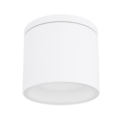 Globo - Plafón de exterior 1xGX53/11W/230V IP44