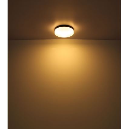 Globo - Lámpara de baño 3xE27/60W/230V d. 30 cm IP44