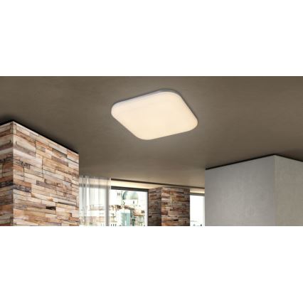 Globo - Plafón LED de exterior LED/24W/230V IP54