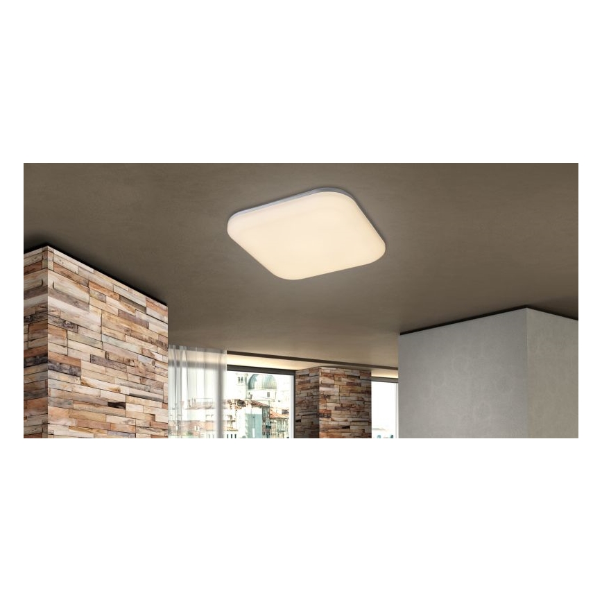 Globo - Plafón LED de exterior LED/24W/230V IP54