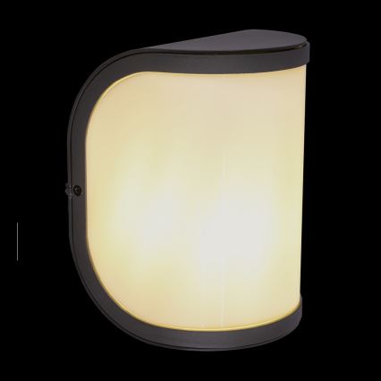 Globo 32128A - Aplique de exterior SEGGA 1xE27/60W/230V IP44