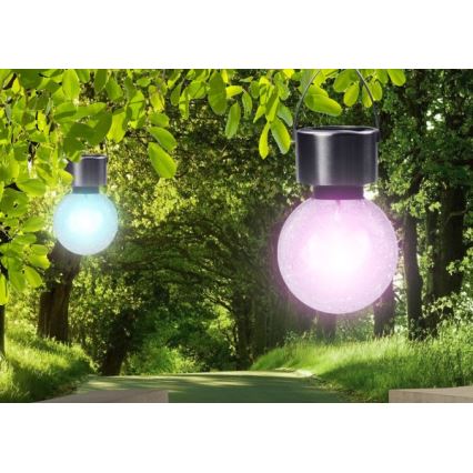 Globo - Lámpara solar LED LED/0,05W/1,2V IP44