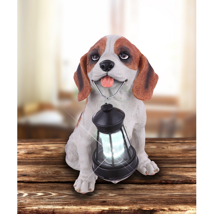 Globo - Lámpara solar LED LED/0,06W/3V IP44 600 mAh