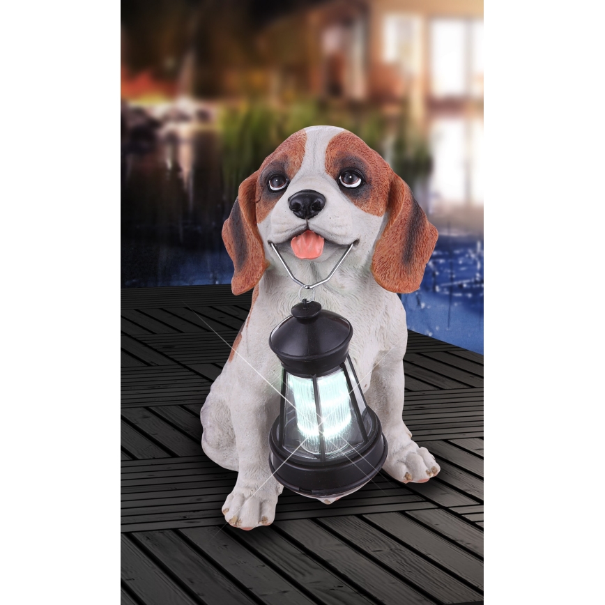 Globo - Lámpara solar LED LED/0,06W/3V IP44 600 mAh