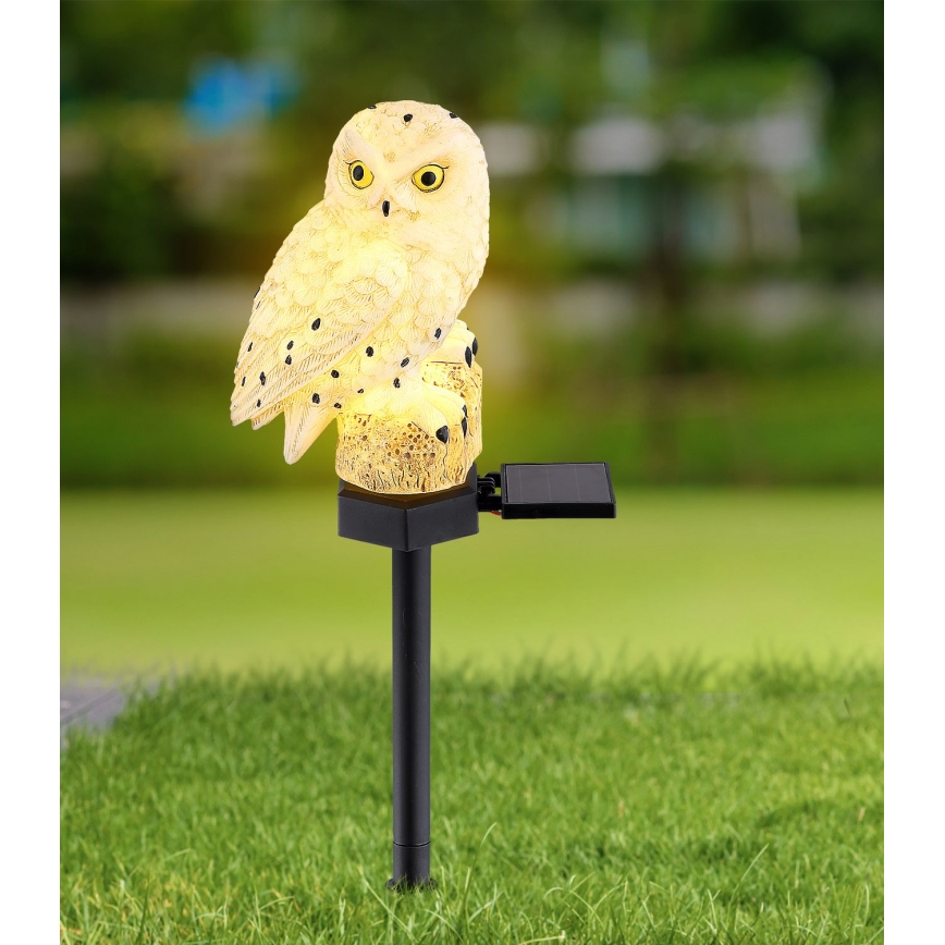 Globo - Lámpara solar LED LED/0,06W/3V IP44 búho