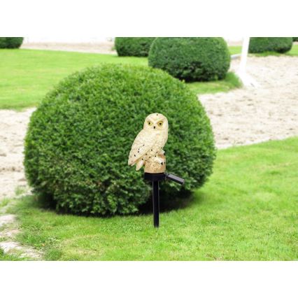 Globo - Lámpara solar LED LED/0,06W/3V IP44 búho