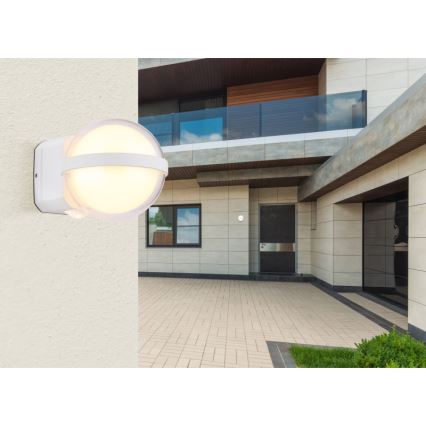Globo - Aplique LED para exterior LED/12W/230V IP54 blanco