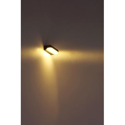 Globo - Aplique LED de exterior LED/20W/230V IP54