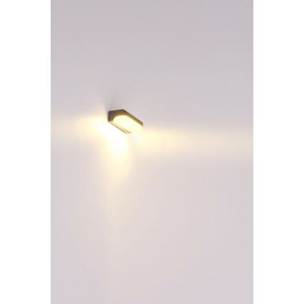 Globo - Aplique LED de exterior LED/20W/230V IP54