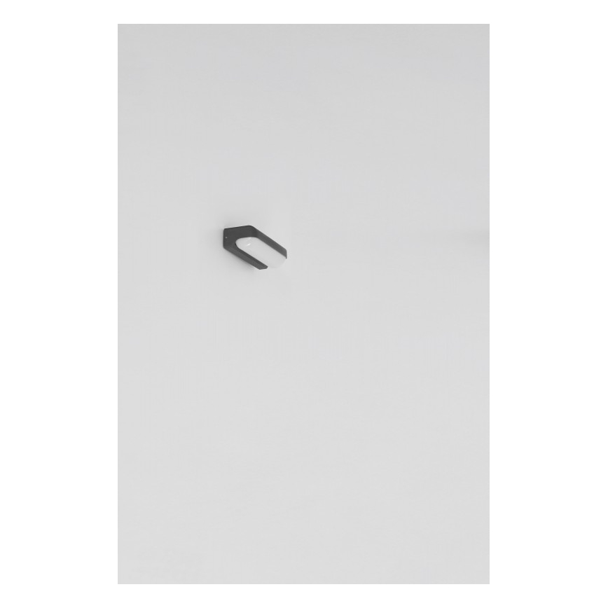 Globo - Aplique LED de exterior LED/20W/230V IP54