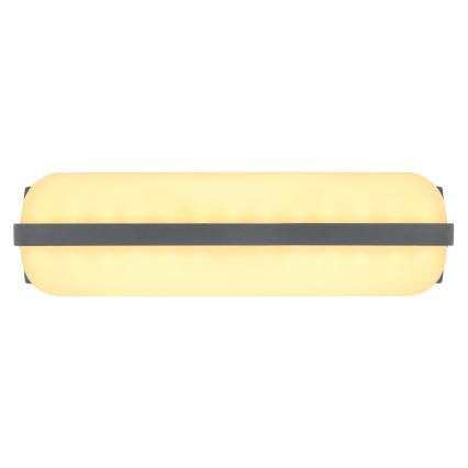 Globo - Aplique LED de exterior LED/20W/230V IP54