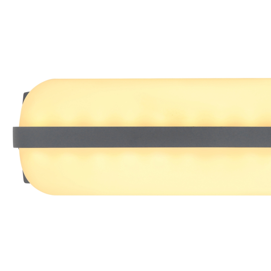 Globo - Aplique LED de exterior LED/20W/230V IP54