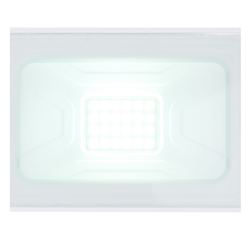 Globo - Reflector LED LED/20W/230V IP65