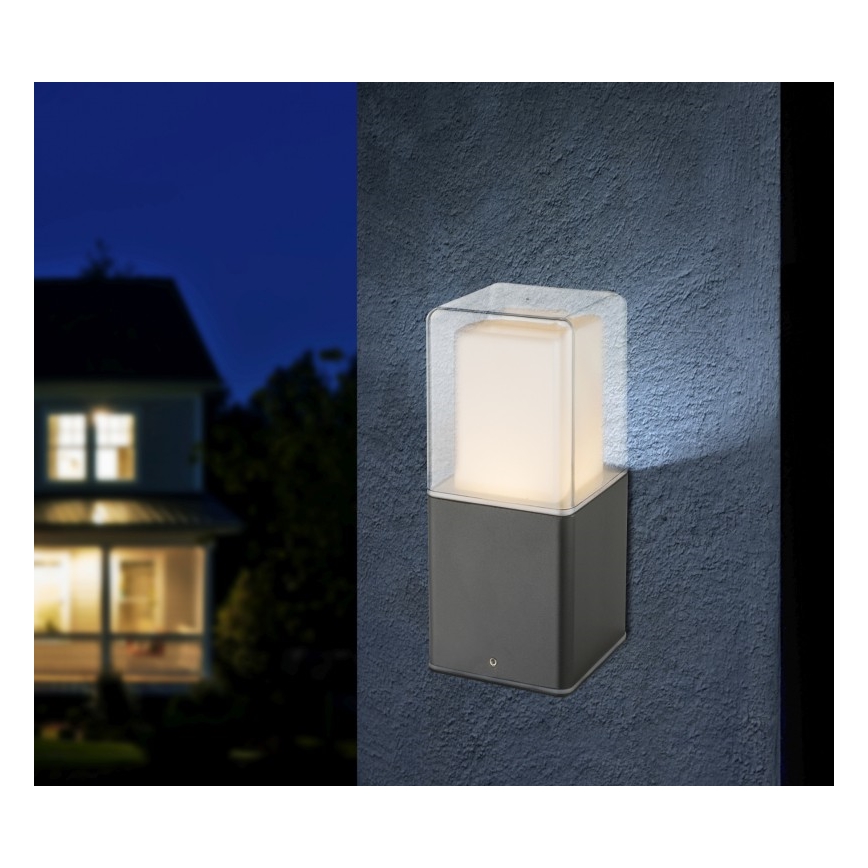 Globo - Lámpara Exterior LED LED/12W/230V IP44