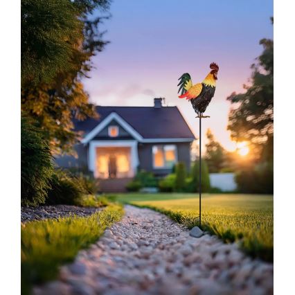 Globo - Decoración solar LED LED/0,02W/3V IP44 300 mAh gallo