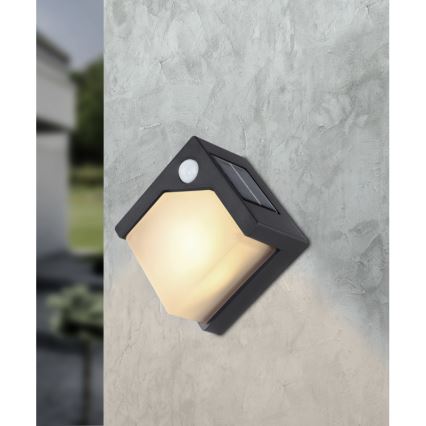 Globo - Lámpara solar LED con sensor LED/0,48W/3V IP44 600 mAh