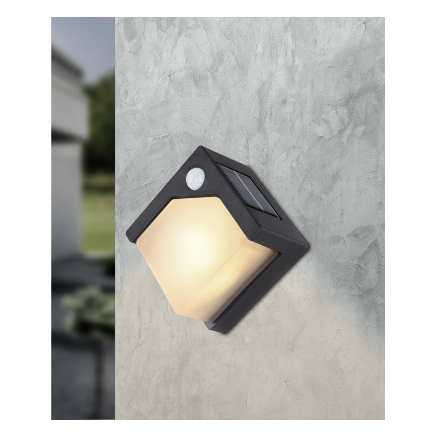 Globo - Lámpara solar LED con sensor LED/0,48W/3V IP44 600 mAh