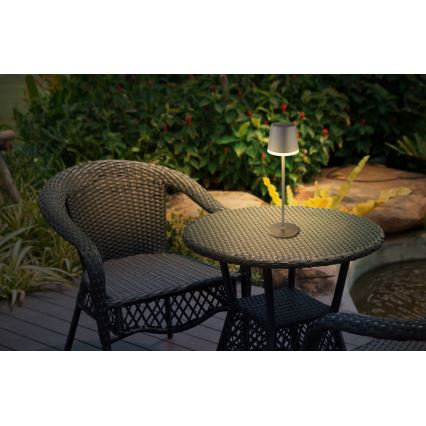 Globo - Lámpara solar LED LED/0,6W/3V 3000K IP44 1200 mAh antracita